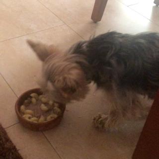 Pipo comiendo un platito de sopa