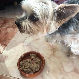 Pipo probando los canelones de temporada