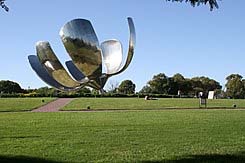 Floralis genérica