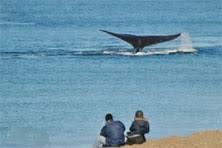 Playa El Doradillo