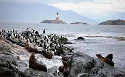 Isla de los Lobos