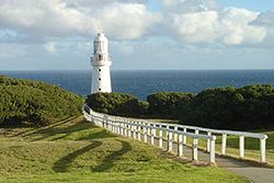 cape otway