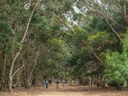 Hanson Bay Wildlife Sanctuary