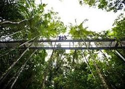 Daintree Discovery Centre