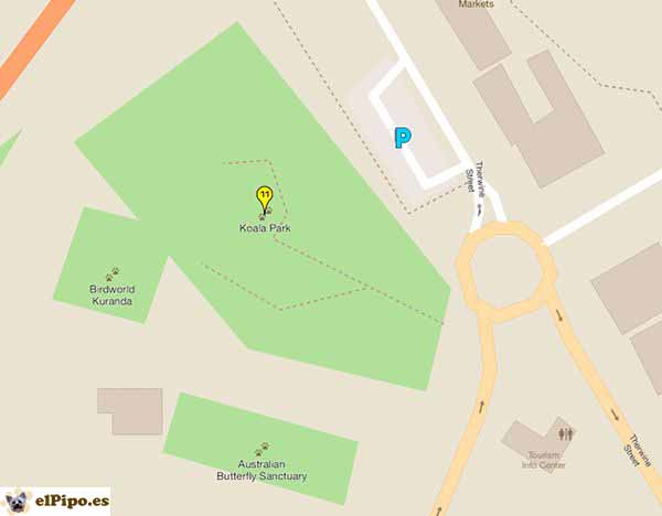 recorrido hasta Miranda koala gardens