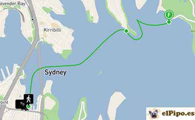 recorrido en ferry hasta circular quay