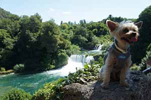 Pipo en el parque natural de Krva