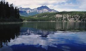 patricia lake