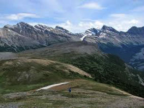 parker ridge viewpoint