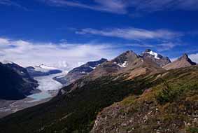 saskatchewan glacier 