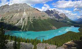 peyto lake