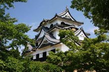 hikone