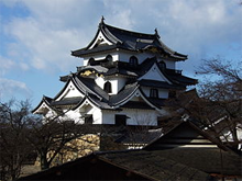 castillo de hikone