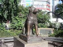 estatua hachikō