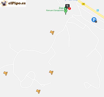itinerario por zoo de ranua