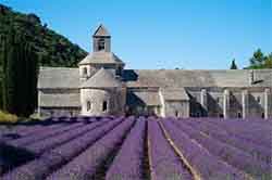 Abbaye de Sénanque