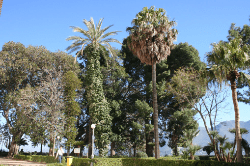 Giardino del Belvedere Giardino del Belvedere