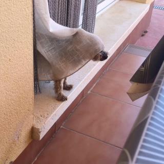 Pipo jugando a los súper héroes