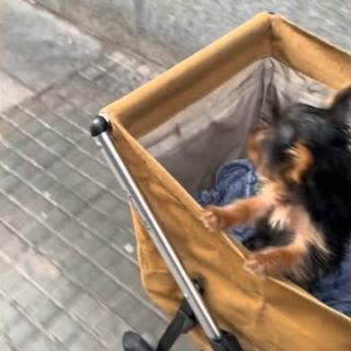 Nina en “carroza”