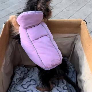 Nina de paseo con Kali