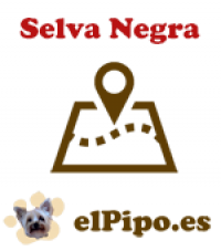 Mapa de la Selva Negra