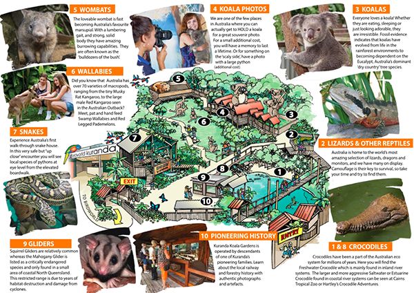 plano de las instalaciones de Miranda koala gardens